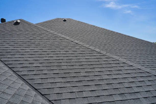 Best Roof Coating and Sealing  in Winsted, MN