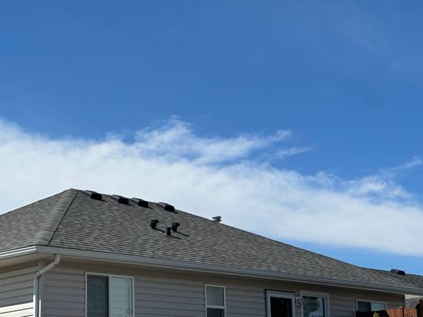 Best Emergency Roof Repair Services  in Winsted, MN